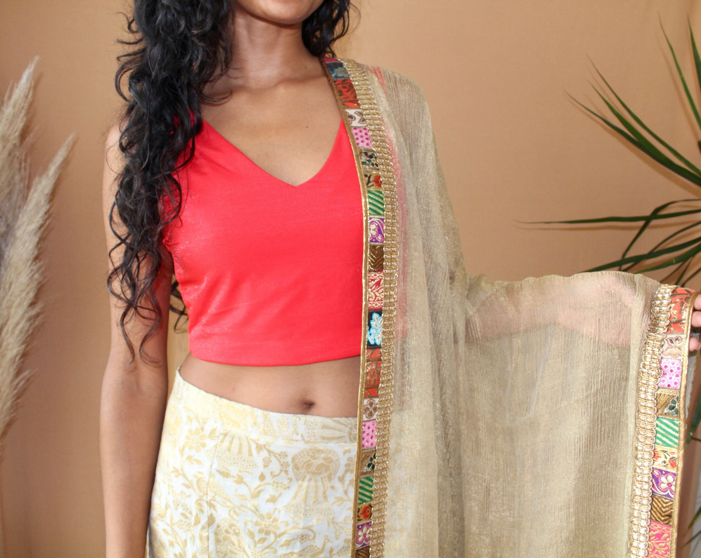 Chili Pepper Charmer Sleeveless Sari Blouse - Khushey